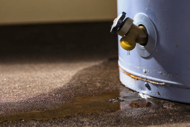 Best Water damage restoration near me  in Wolf Trap, VA