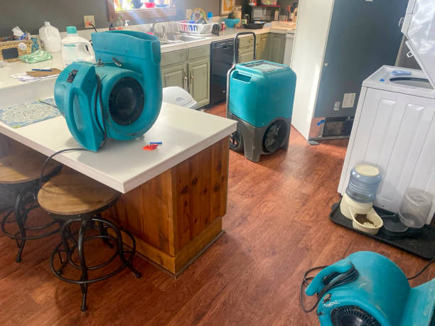 Best Residential water damage restoration  in Wolf Trap, VA