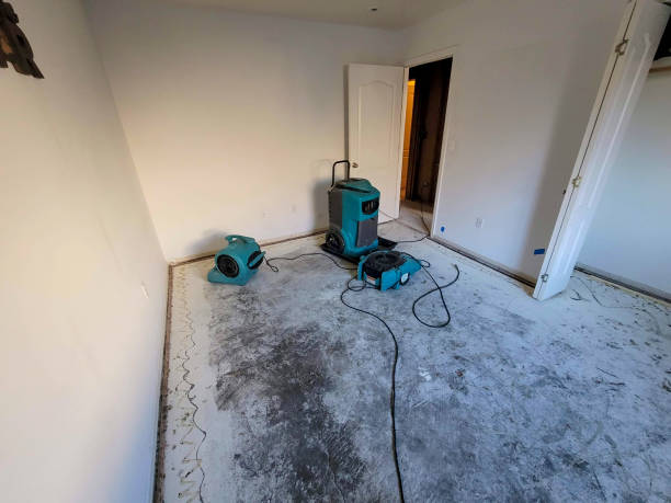 Best Commercial water damage restoration  in Wolf Trap, VA