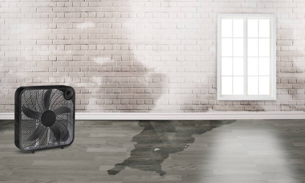 Best Emergency water damage restoration  in Wolf Trap, VA