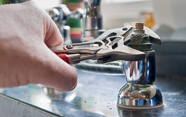 Best Mold removal after water damage  in Wolf Trap, VA