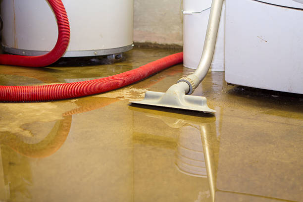 Best 24/7 water damage repair  in Wolf Trap, VA